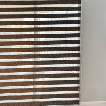 Zebra Shades