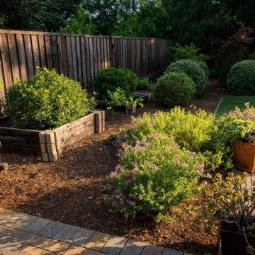 Raised Vegetable Garden Beds Landscape