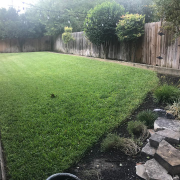 Back Yard Makeover