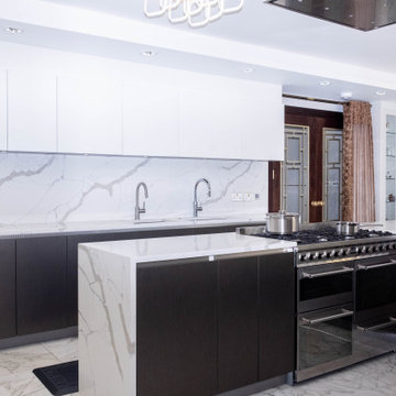 Magnificent Modern German kitchen in Ealing