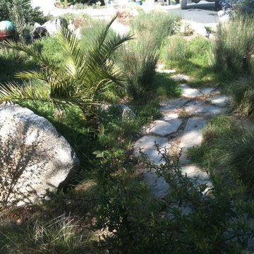Front Yard Tropical Transition Out of the Redwoods
