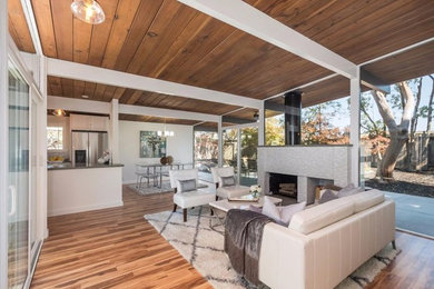Transitional living room photo in San Francisco