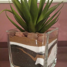 terrariums
