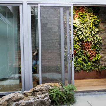 Plant combinations