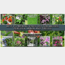 Windsor Outdoor Entertaining