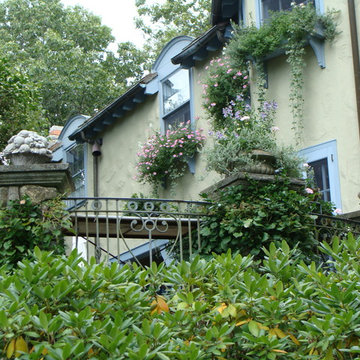 Window boxes over back terrace