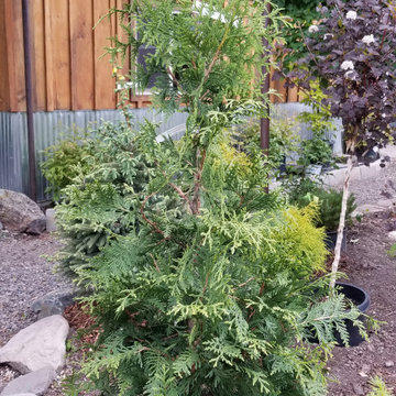 Landscaping