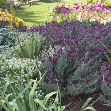 Great Plant Combo's