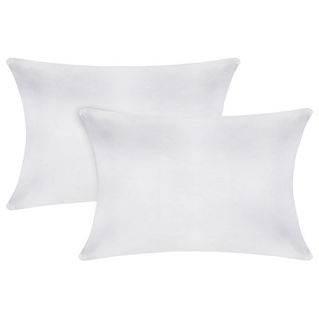 A1HC Throw Pillow Insert, Down Alternative Fill, Set of 2, White, 12"x20"