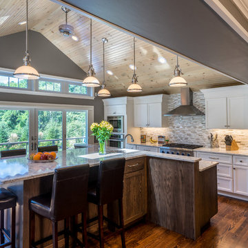 Dover Transitional Kitchen