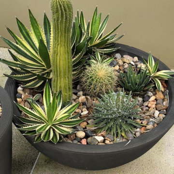 Tabletop Planters for Your Style
