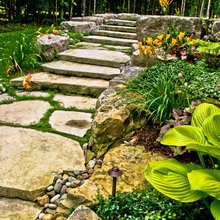 Steps