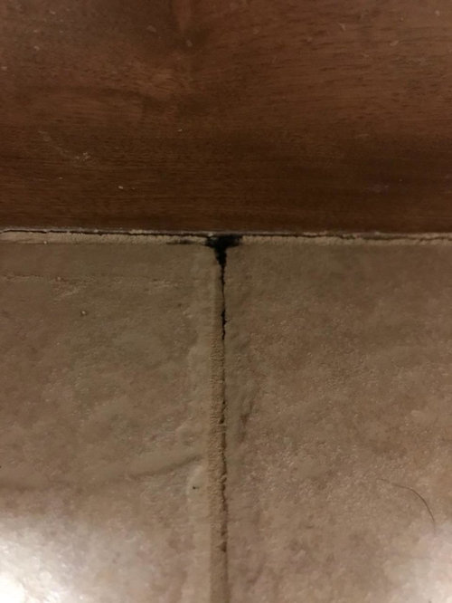 Black liquid coming up through grout in tile floor