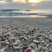 Deb Griffith's photo