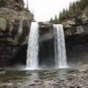 Diane Headberg's photo
