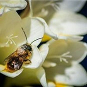 Teresa Delfine's photo