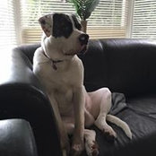 Lenore Mccormick's photo