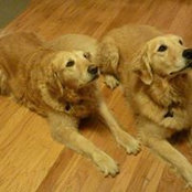 Carol Berkowitz's photo