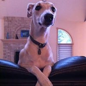 Steven Lemke's photo