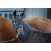 Julie Gabel's photo