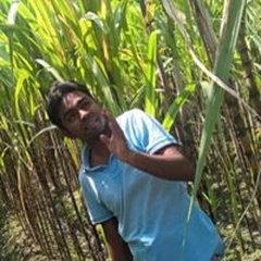 Moha
