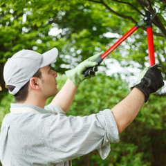 Natura Tree Services