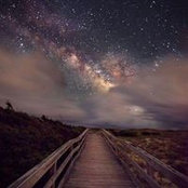 Nicole Stone's photo
