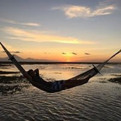Nick Saunders's photo