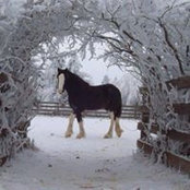 Foto de Kendra Stalzer
