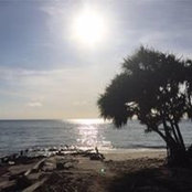 Lisa Lavey's photo