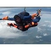 Toni Zapel's photo