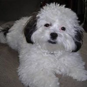Michelle Caissey's photo