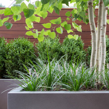 Groundwork Design - Lincoln Park Patio