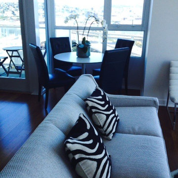 China Basin apartment
