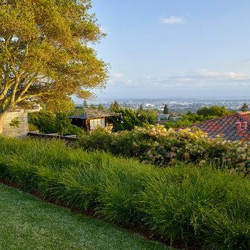 Oakland Hill Top HIdeaway Garden