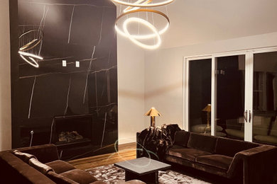 Trendy home design photo in Dallas