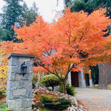 FALL is for COLOR