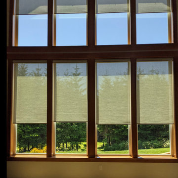 Roller & Solar Shades