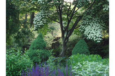 Inspiration for a traditional landscaping in New York.