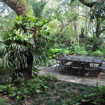 Snapper Creek Project