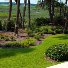 Savannah Marsh Yard