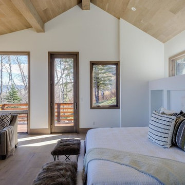 Aspen, Colorado Rustic Modern Home-Cobalt White Oak