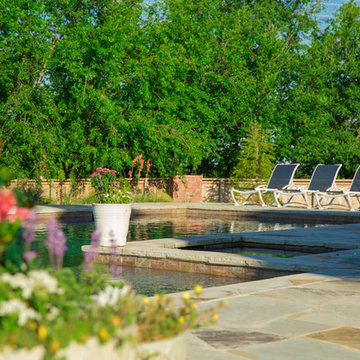 Tranquil Oasis