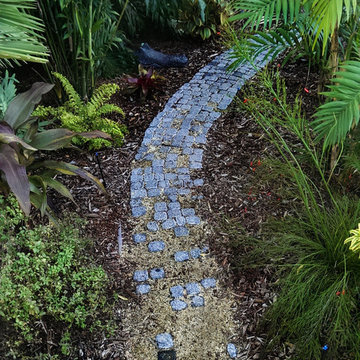 Tropical lawn replacement