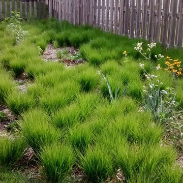 Fall 2016 Install in Mid Summer 2017