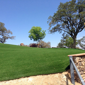 Global Syn-Turf artificial grass in San Luis Obispo, CA
