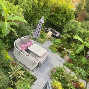 Tropical garden in West London