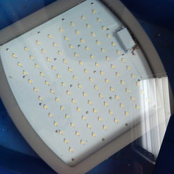LED Explosion proof Light - Products