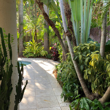 Urban Retreat near Downtown Miami
