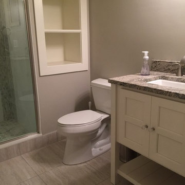Island Lakes Basement Remodel